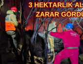 3 HEKTARLIK ALAN ZARAR GÖRDÜ