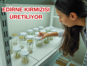 EDİRNE KIRMIZISI ÜRETİLİYOR