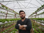 ZİRAAT MÜHENDİSİ DEVLET DESTEĞİYLE KURDUĞU TOPRAKSIZ TARIM SERASINDA ÜRETİME BAŞLADI