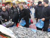 FİYATI DÜŞEN HAMSİYE VATANDAŞLAR YOĞUN İLGİ GÖSTERDİ