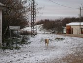 YÜKSEK KESİMLERDE KAR YAĞIŞI ETKİLİ OLUYOR