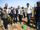 YÜZLERCE FİDAN TOPRAKLA BULUŞTU
