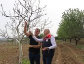 ZİRAİ DONDAN ETKİLENEN ALANLARDA HASAR TESPİT ÇALIŞMALARI SÜRÜYOR